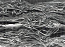 Dustop Fibers